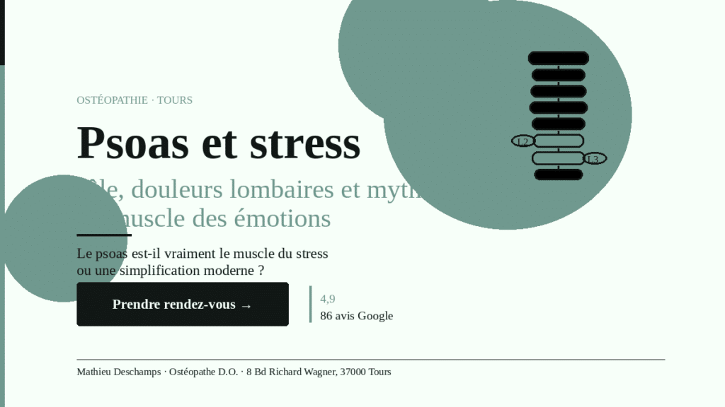 Psoas et stress, douleurs lombaires et ostéopathie à Tours – Cabinet Mathieu Deschamps, ostéopathe D.O.